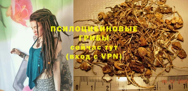 метадон Аркадак